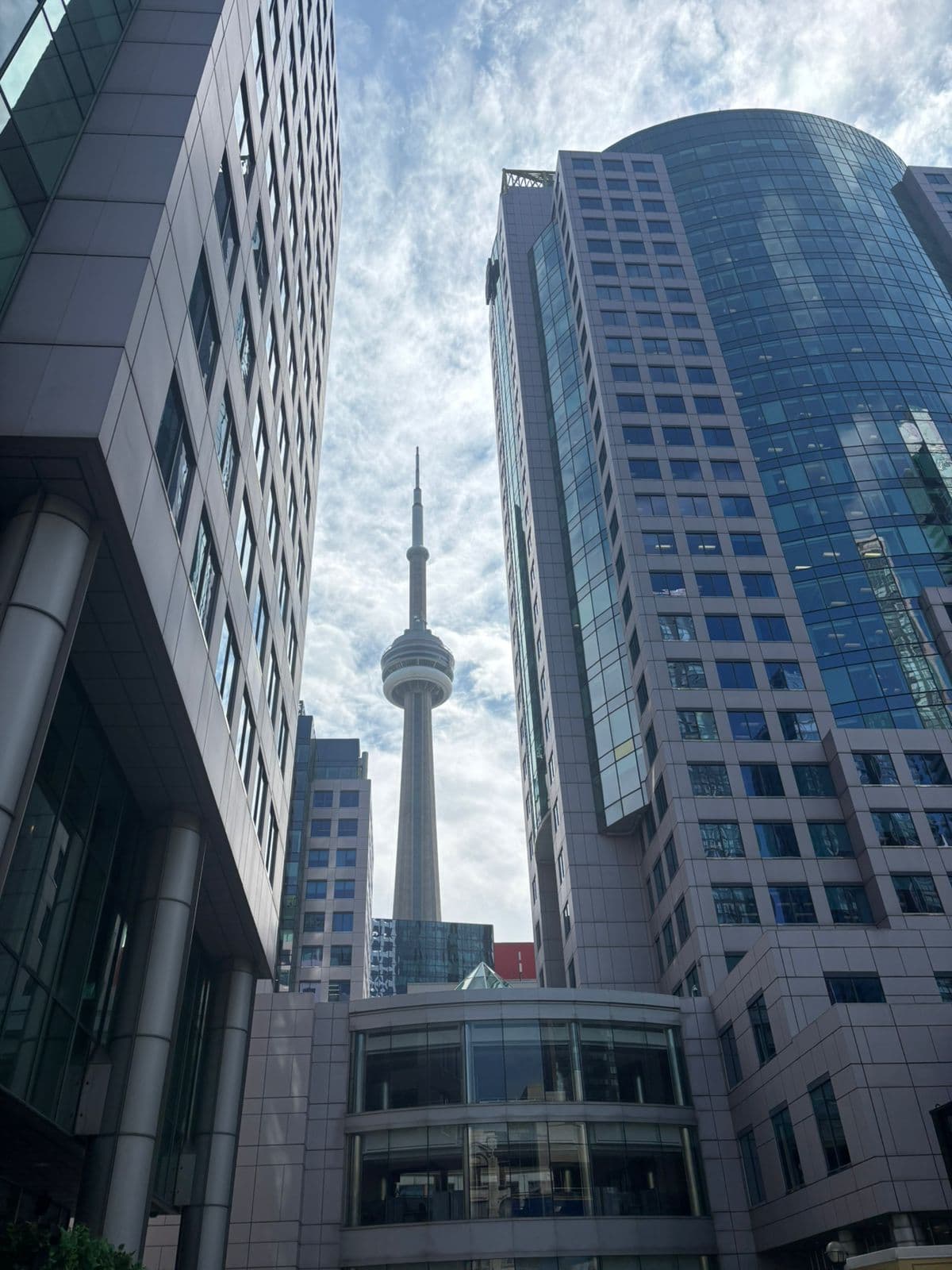 TIFF 2025 trip photo 6