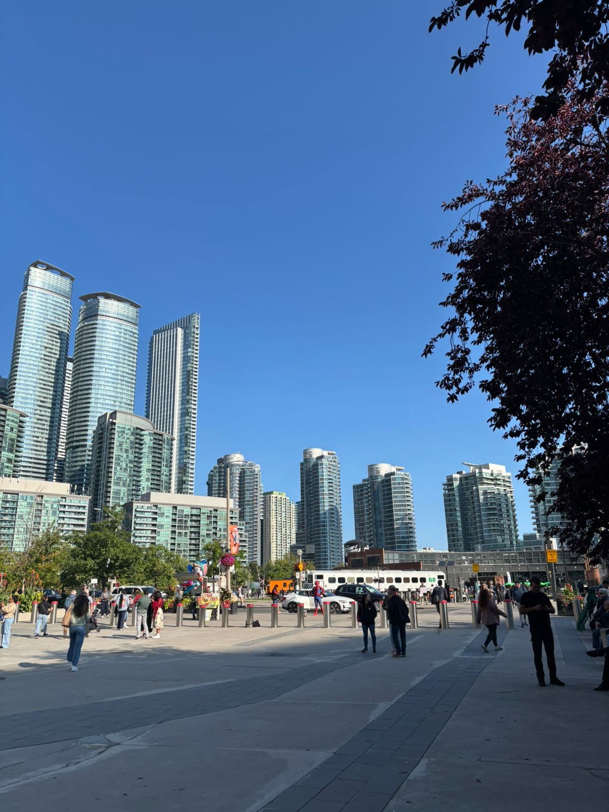 TIFF 2025 trip photo 7